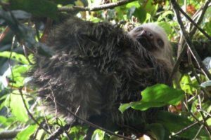 Nicaragua Eco Tours, wildlife, bird watching